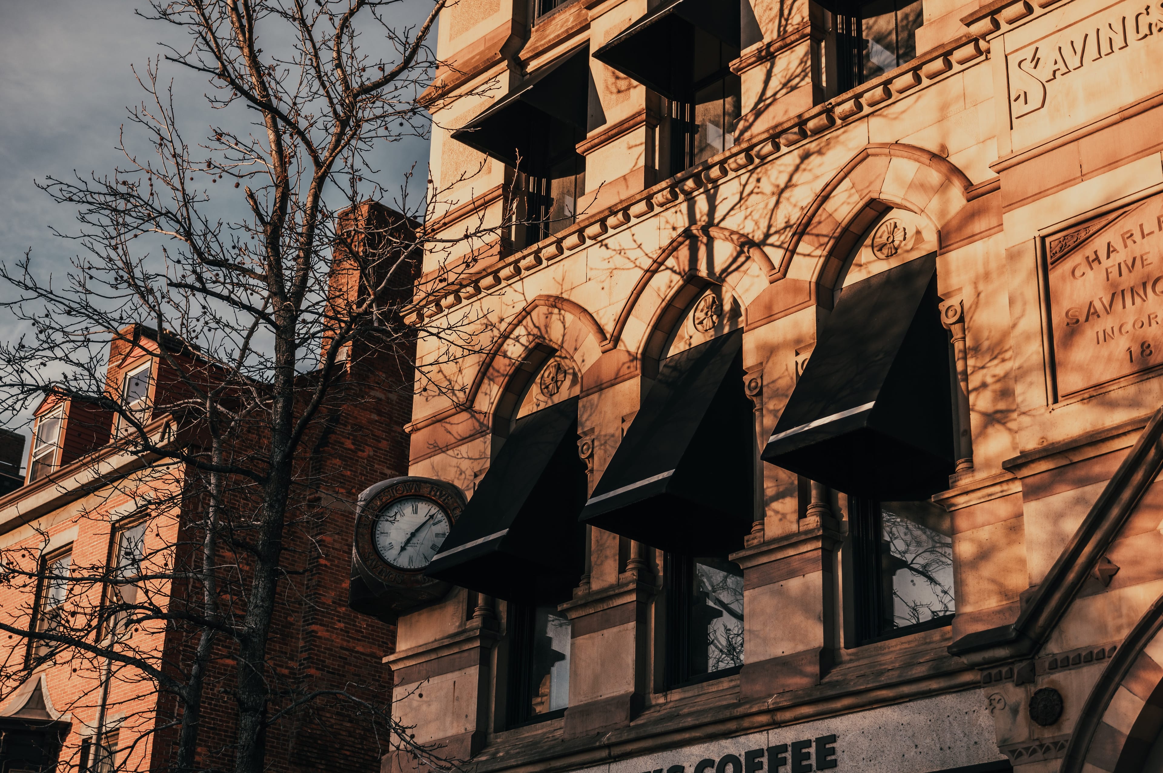 Balance Architects — Contact